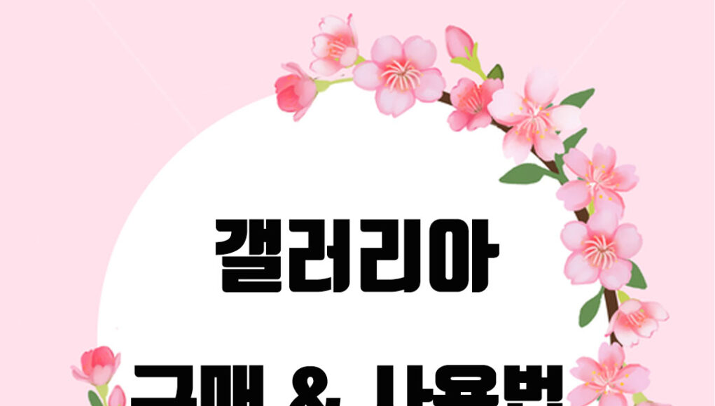 갤러리아 상품권 구매 안내: 안전하고 편리한 쇼핑을 위한 가이드